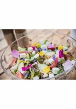 LEONARDO Schale "Cucina Optic", 3,6 L Gesamt: Durchmesser 26cm 19 LEONARDO Schale "Cucina Optic", 3,6 L Gesamt: Durchmesser 26cm -Deutschland karaffen-kruege Verkäufe 2024 unnamed file 1236